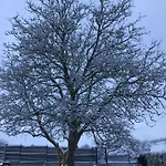 House Noyer בית נופש דורבורי