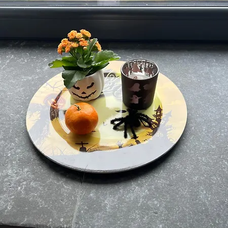 別荘 House Noyer *