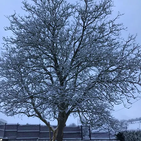 House Noyer 別荘 デュルビュイ